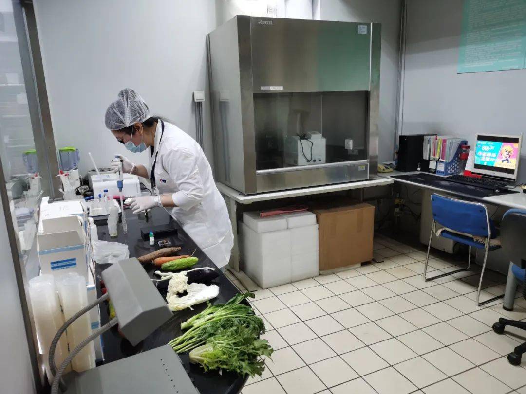 长坡镇食品检测实验室装修方案